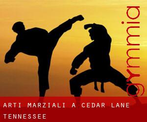 Arti marziali a Cedar Lane (Tennessee)
