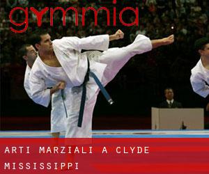 Arti marziali a Clyde (Mississippi)