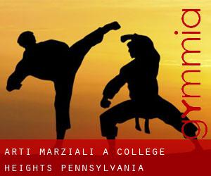 Arti marziali a College Heights (Pennsylvania)