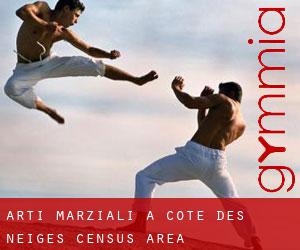 Arti marziali a Côte-des-Neiges (census area)