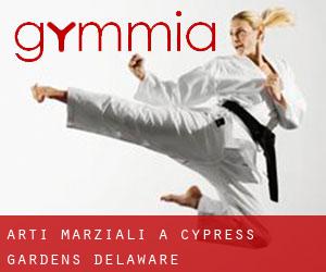 Arti marziali a Cypress Gardens (Delaware)