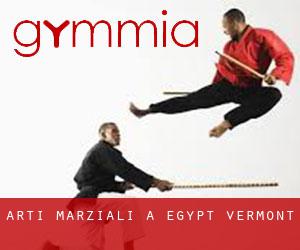 Arti marziali a Egypt (Vermont)