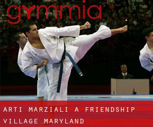 Arti marziali a Friendship Village (Maryland)