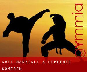 Arti marziali a Gemeente Someren