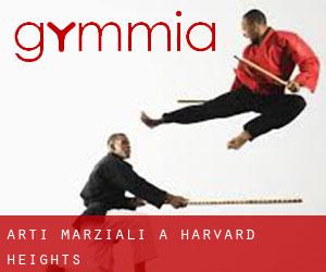 Arti marziali a Harvard Heights