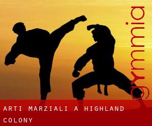 Arti marziali a Highland Colony