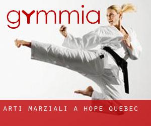Arti marziali a Hope (Quebec)