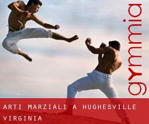 Arti marziali a Hughesville (Virginia)