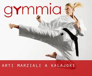 Arti marziali a Kalajoki