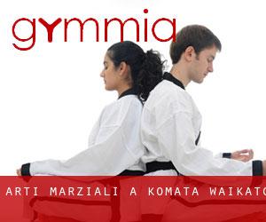 Arti marziali a Komata (Waikato)