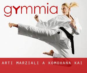 Arti marziali a Komohana Kai