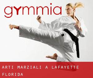 Arti marziali a Lafayette (Florida)