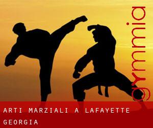 Arti marziali a LaFayette (Georgia)