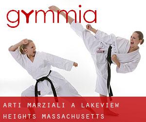Arti marziali a Lakeview Heights (Massachusetts)