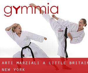 Arti marziali a Little Britain (New York)