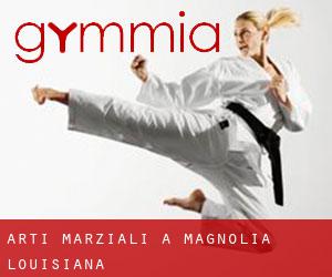 Arti marziali a Magnolia (Louisiana)