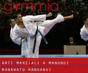 Arti marziali a Manunui (Manawatu-Wanganui)
