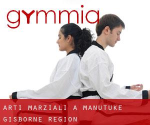 Arti marziali a Manutuke (Gisborne Region)