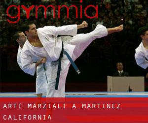 Arti marziali a Martinez (California)