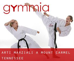Arti marziali a Mount Carmel (Tennessee)