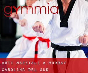 Arti marziali a Murray (Carolina del Sud)