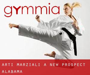 Arti marziali a New Prospect (Alabama)