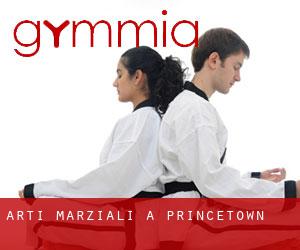 Arti marziali a Princetown