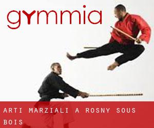 Arti marziali a Rosny-sous-Bois