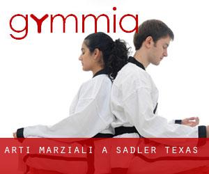 Arti marziali a Sadler (Texas)