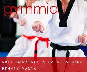 Arti marziali a Saint Albans (Pennsylvania)