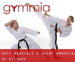 Arti marziali a Saint-Ambroise-de-Kildare