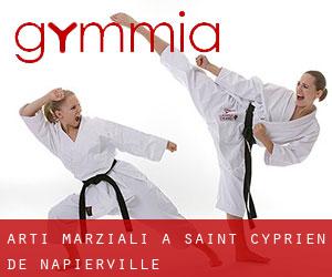 Arti marziali a Saint-Cyprien-de-Napierville