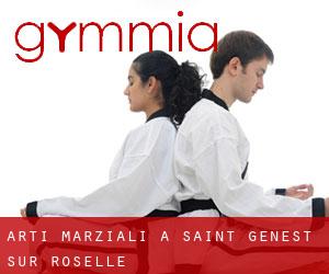 Arti marziali a Saint-Genest-sur-Roselle