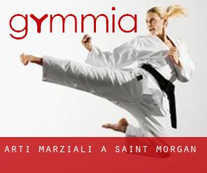 Arti marziali a Saint Morgan