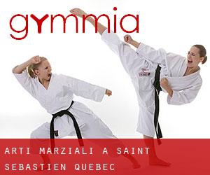 Arti marziali a Saint-Sébastien (Quebec)
