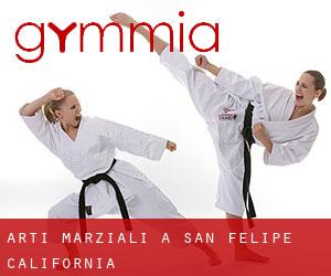 Arti marziali a San Felipe (California)