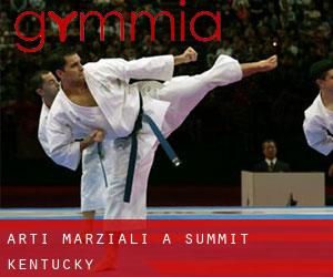 Arti marziali a Summit (Kentucky)