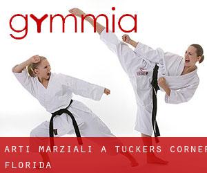 Arti marziali a Tuckers Corner (Florida)