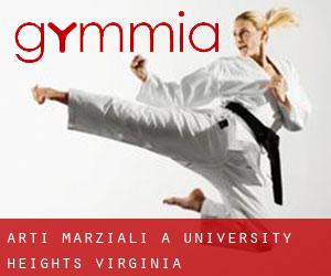 Arti marziali a University Heights (Virginia)