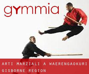 Arti marziali a Waerengaokuri (Gisborne Region)