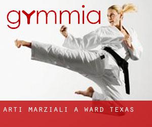 Arti marziali a Ward (Texas)