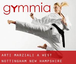 Arti marziali a West Nottingham (New Hampshire)