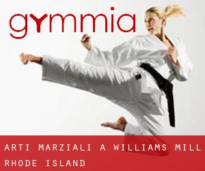 Arti marziali a Williams Mill (Rhode Island)