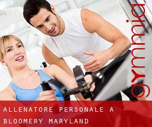 Allenatore personale a Bloomery (Maryland)