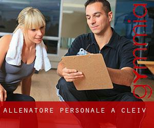 Allenatore personale a Cleiv