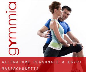 Allenatore personale a Egypt (Massachusetts)
