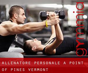 Allenatore personale a Point of Pines (Vermont)