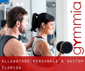 Allenatore personale a Skytop (Florida)