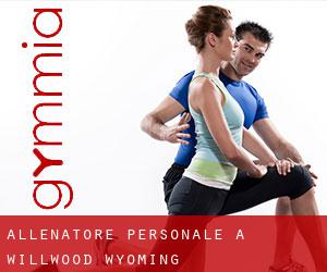 Allenatore personale a Willwood (Wyoming)