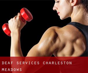 Deaf Services (Charleston Meadows)